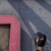 halfcab flip noseslide 270
